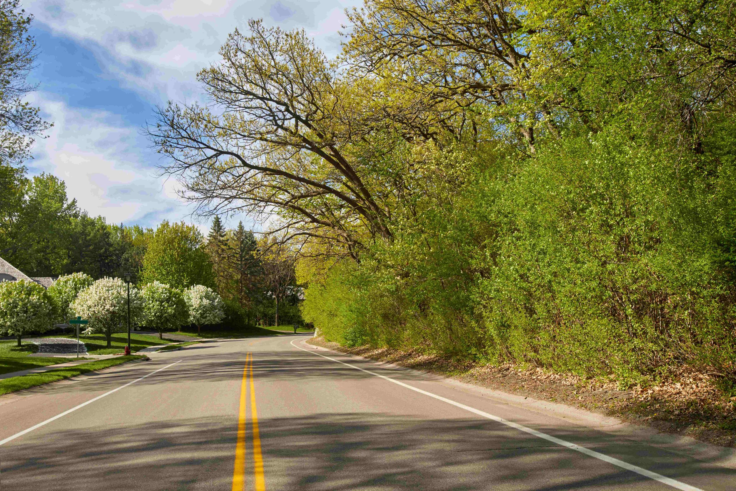 Local road in Minnesota on a spring day